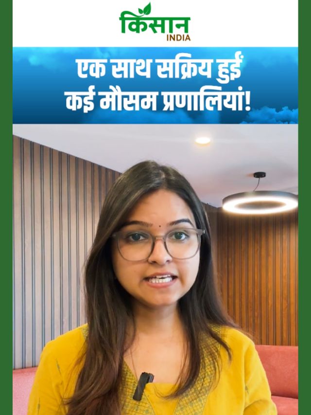 कहीं लू का कहर, कहीं बारिश और तूफान का अलर्ट! एक साथ सक्रिय हुईं कई मौसम प्रणालियां!