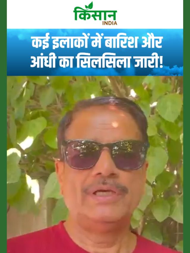 मौसम ने बदला रंग! कश्मीर से तमिलनाडु तक मौसम का तांडव! जानिए पूरा अपडेट!