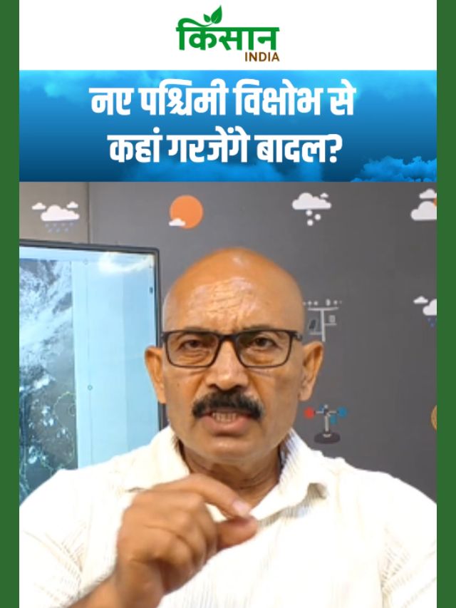 नए पश्चिमी विक्षोभ से देश के इन राज्यों में गरजेंगे बादल, एक्सपर्ट ने दी चेतावनी!