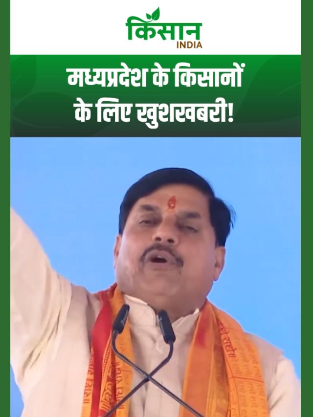 मध्यप्रदेश के किसानों के लिए खुशखबरी, गेहूं का दाना-दाना खरीदेगी मोहन यादव की सरकार!