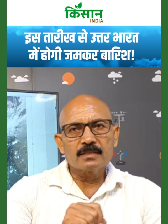 Skymet Weather के वेदर एक्सपर्ट ने दी चेतावनी, इस तारीख से होगी धुआंधार बारिश!