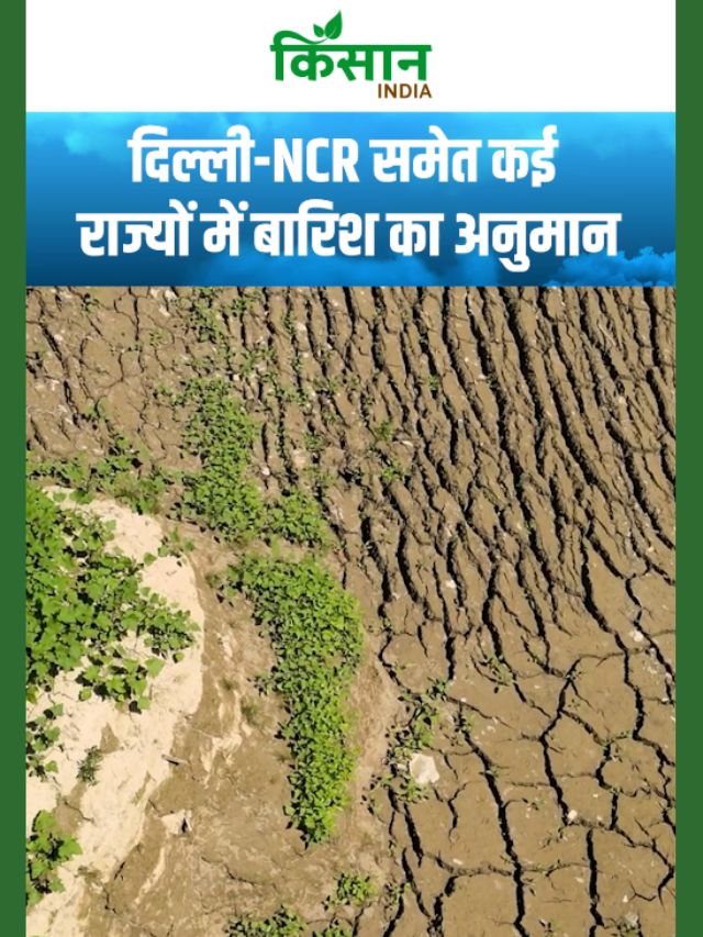 25 अप्रैल को दिल्ली-NCR समेत कई राज्यों में बारिश का अनुमान!