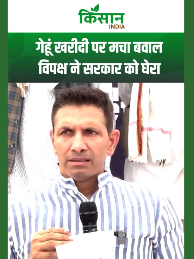 जीतू पटवारी ने उठाए सवाल, गेहूं खरीदी पर मचा बवाल, विपक्ष ने सरकार को घेरा!