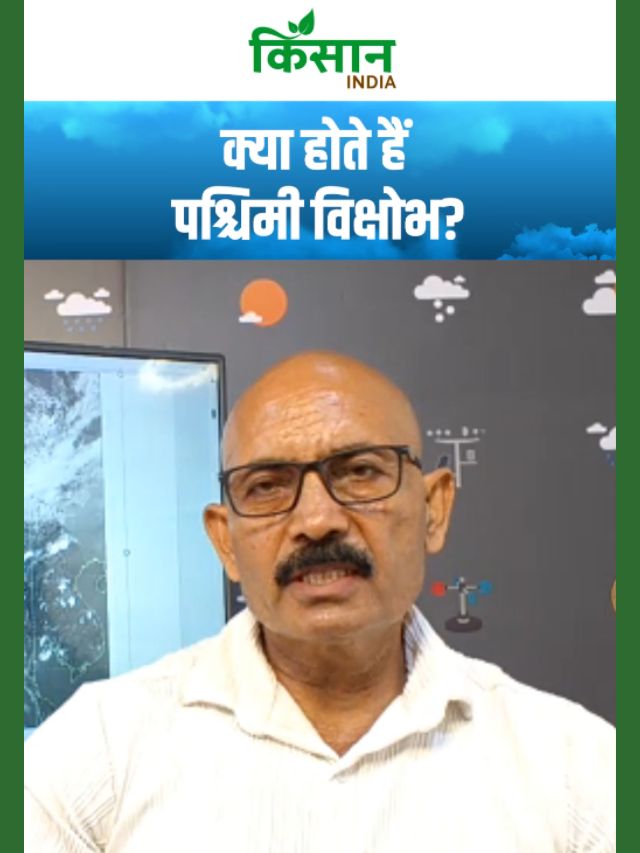 Weather Update : क्या होते हैं पश्चिमी विक्षोभ और कैसे मौसम को करते हैं प्रभावित