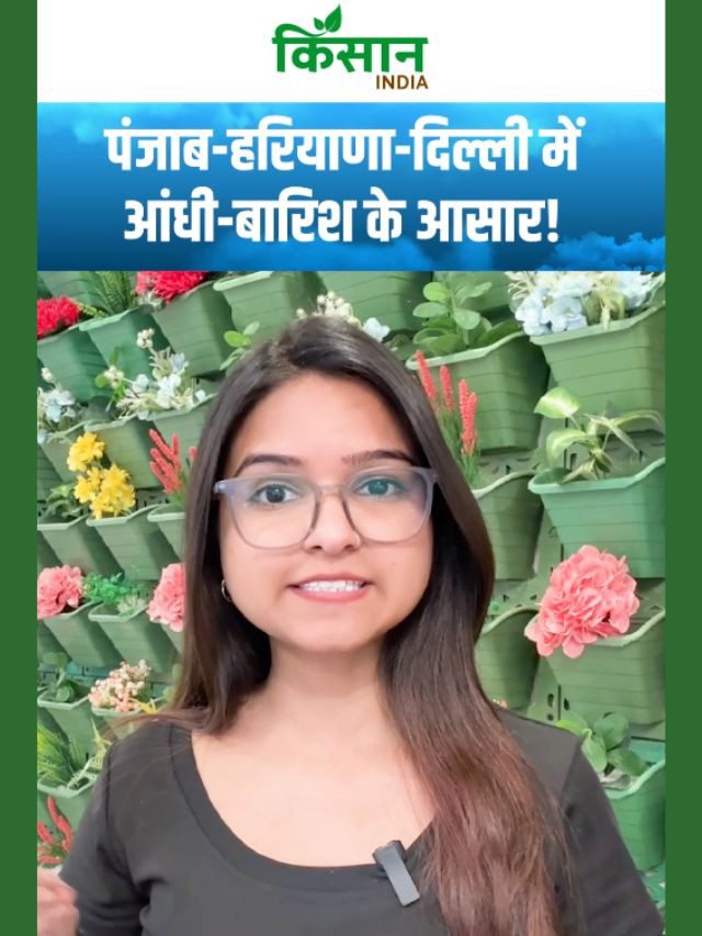 दिल्ली-NCR से लेकर पहाड़ों तक मौसम का बड़ा बदलाव, देशभर में बारिश-तूफान अलर्ट!