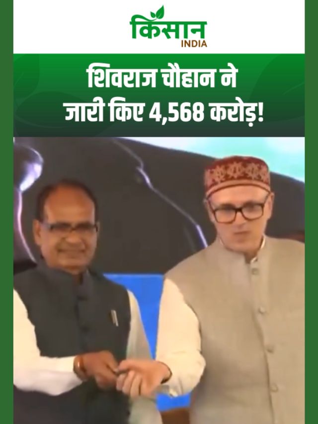 महिलाओं के लिए बड़ी खुशखबरी, Shivraj Chouhan ने जारी किए 4,568 करोड़!