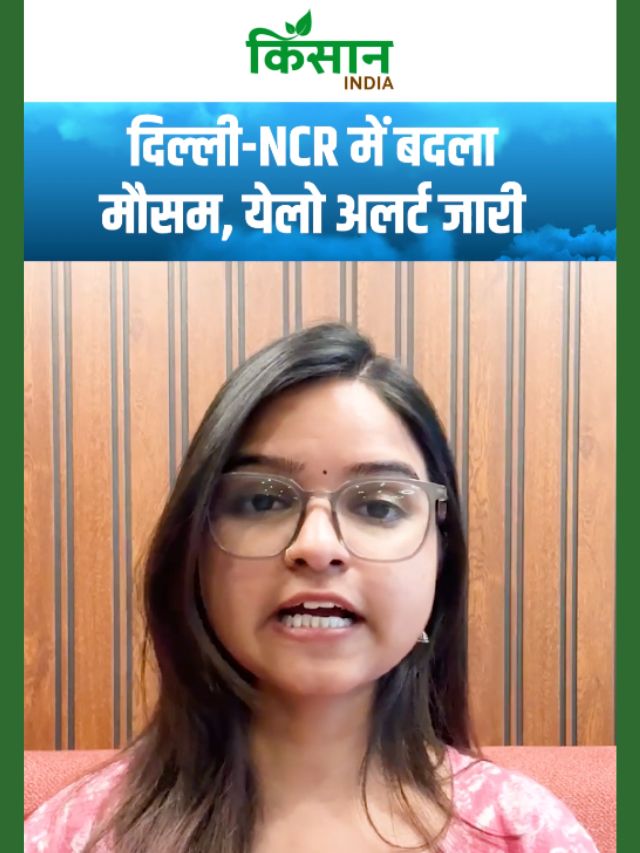दिल्ली-NCR में बदला मौसम, येलो अलर्ट जारी, मौसम ने ली अचानक करवट, कई राज्यों में अलर्ट!