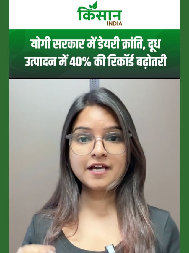 Yogi Adityanath सरकार में डेयरी क्रांति, दूध उत्पादन में 40% की रिकॉर्ड बढ़ोतरी!