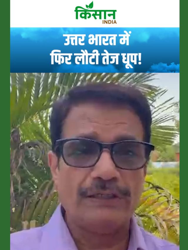 बारिश के बाद पलटा मौसम, उत्तर भारत में फिर लौटी तेज धूप!