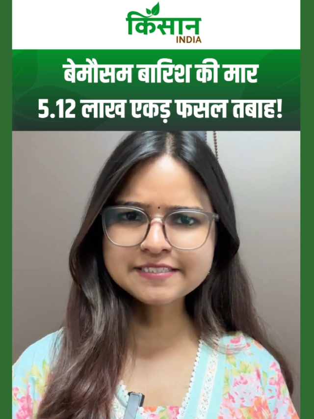 Maharashtra में तबाही! बेमौसम बारिश-ओलावृष्टि से 5 लाख एकड़ फसल बर्बाद!