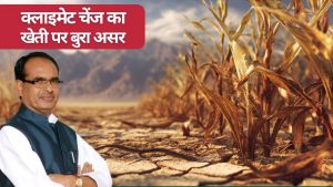 खेती के लिए घातक हो रहे जलवायु परिवर्तन के नतीजे, किसानों को बचाने के लिए नए रोडमैप पर काम तेज खेती के लिए घातक हो रहे जलवायु परिवर्तन के नतीजे, किसानों को बचाने के लिए नए रोडमैप पर काम तेज