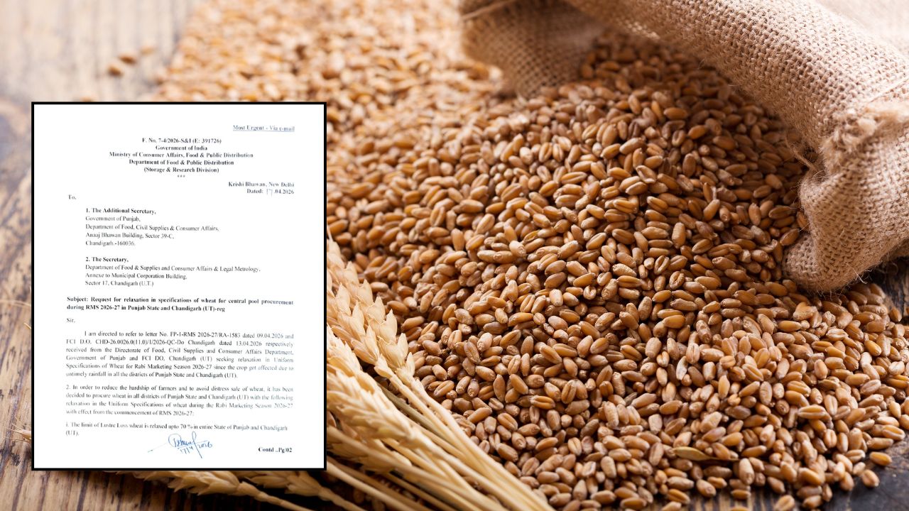 Centre Relaxed Wheat Procurement Norms For Punjab And Issue Order Letter To Punjab Govt