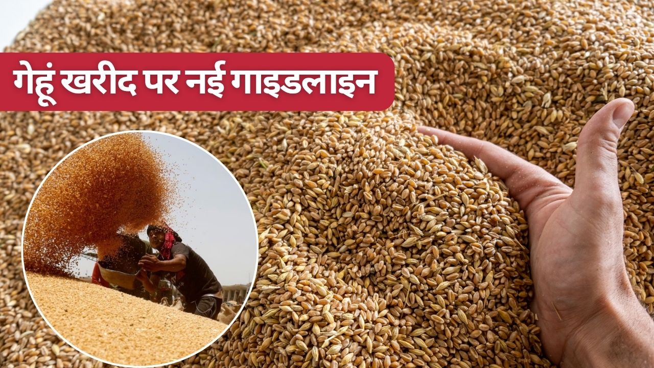 Wheat Purchase Dates In Madhya Pradesh Government Into Action Mode Over Delays In Wheat Procurement Jute Sacks And Foodgrain Storage