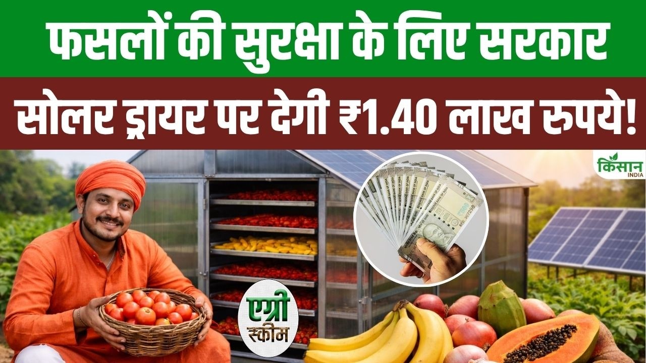 Great News Farmers 1 40 Lakh Subsidy Solar Dryers Crops Not Damaged And Profits Double