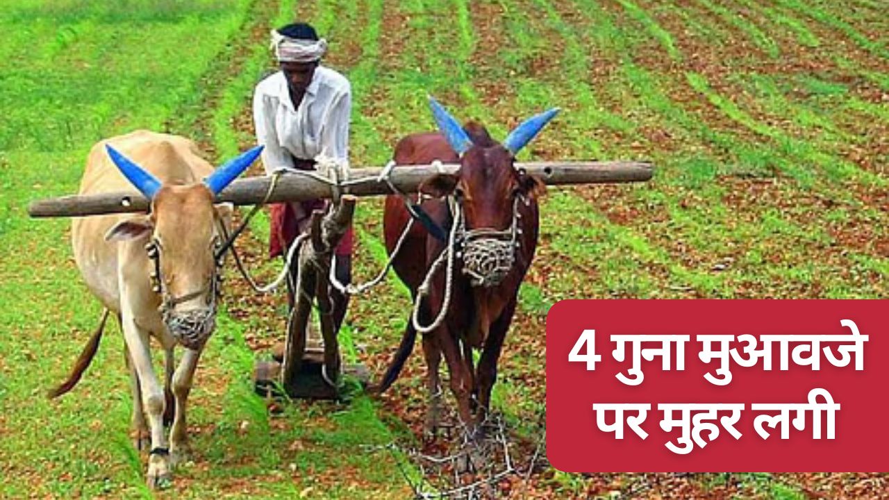 Madhya Pradesh Cabinet Approved 4 Fold Compensation On Agriculture Land Acquisition And Funds Allows For Irrigation Project For 600 Villages
