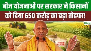 15 करोड़ बीज सब्सिडी और 4 करोड़ स्टोरेज पर खर्च, CM योगी का किसानों के लिए बड़ा फैसला