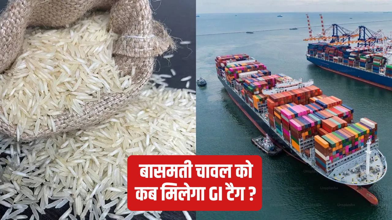 Rice Millers Express Concern Over Basmati Exports Write To The Government