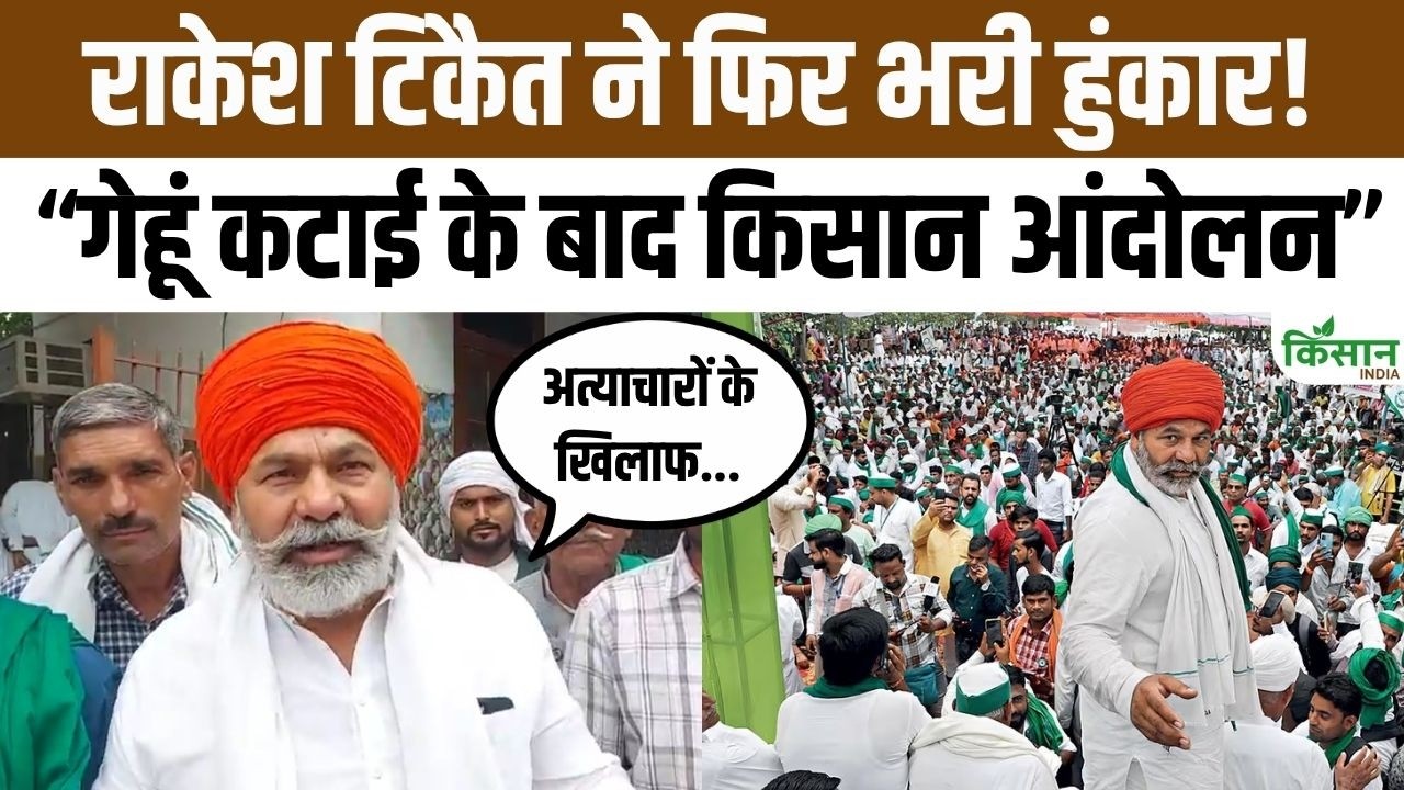Rakesh Tikait का बड़ा ऐलान, गेहूं कटाई के बाद देशभर में किसान आंदोलन तेज करने की तैयारी में जुटें किसान अब