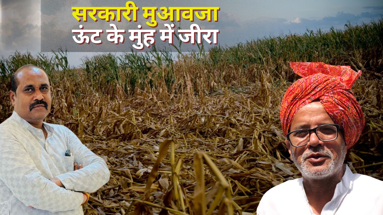 Crop Loss Uttar Pradesh Crop Lossdharmendra Milk Attacks The Government