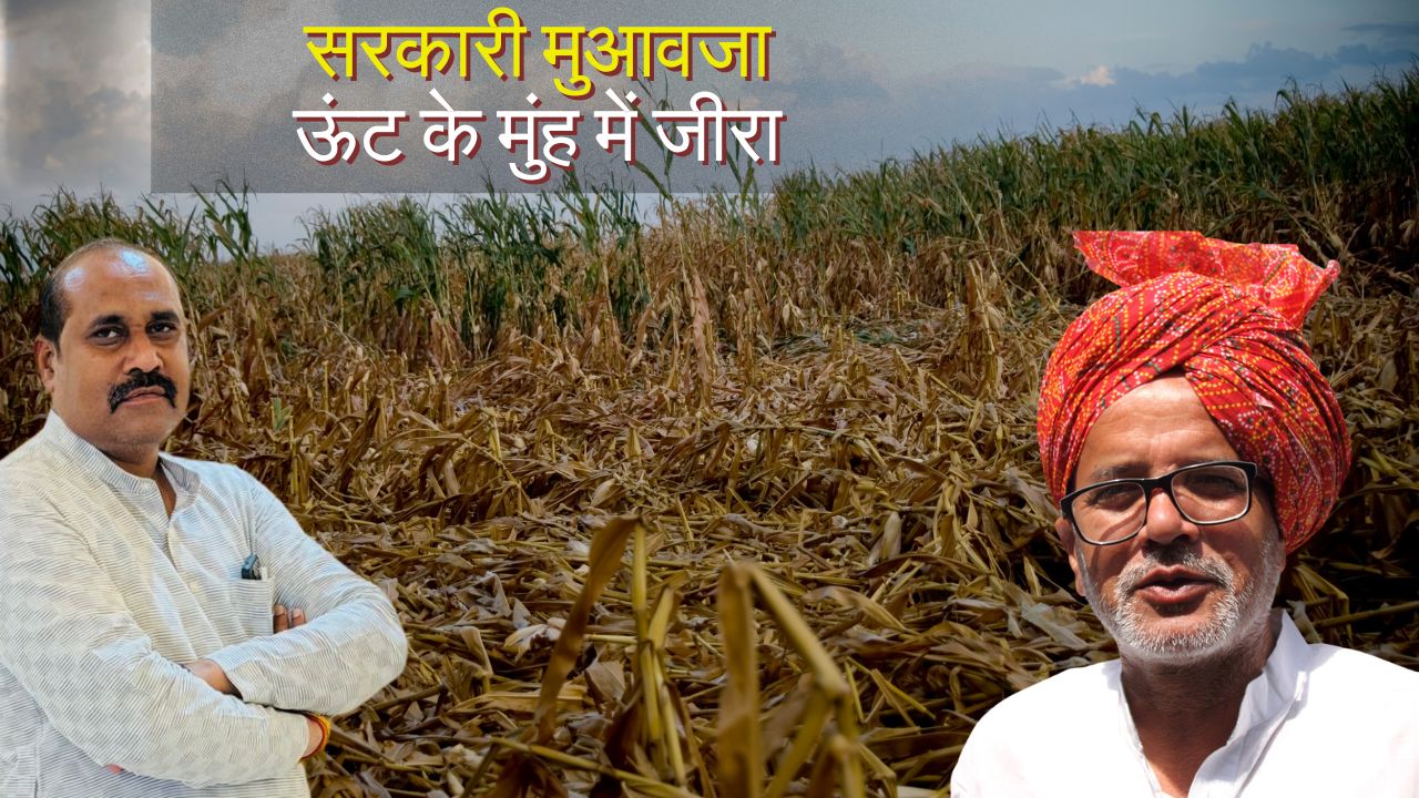 Crop Loss Uttar Pradesh Crop Lossdharmendra Milk Attacks The Government