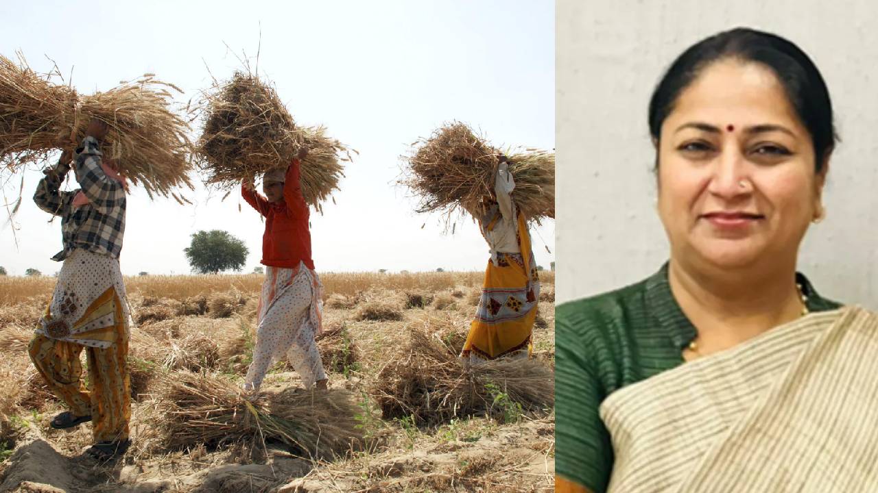Delhi Wheat Procurement Fci Resumes After 4 Years Msp Benefit Farmers Local Market Support