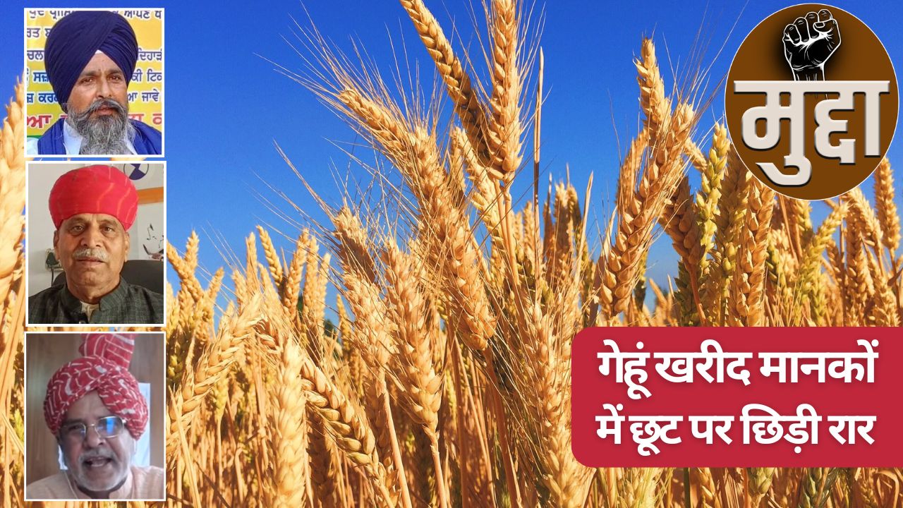 Wheat Procurement Standards Relaxation Haryana And Punjab Farmer Leadersalso Demanded Relaxation