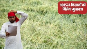 बेमौसम बारिश से परेशान किसानों के लिए राहत, सरकार देगी 128 करोड़ रुपये की सहायता राशि.. कैबिनेट से मंजूरी
