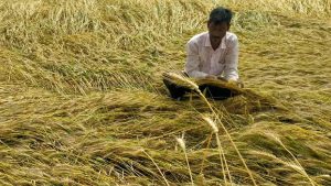 4 मई को किसानों के खातों में आएंगे 122 करोड़ रुपये, खरीफ और रबी फसल नुकसान की होगी भरपाई