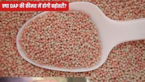 किसानों के हित में बड़ा फैसला, खरीफ सीजन में मिलेगी भरपूर खाद.. सरकार ने इन उर्वरकों पर सब्सिडी बढ़ाई