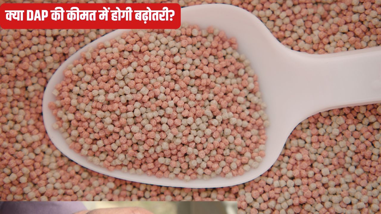 Fertilizer Subsidy Approval Union Cabinet Has Approved The Nutrient Based Fertilizer Subsidy Rates For Kharif 2026