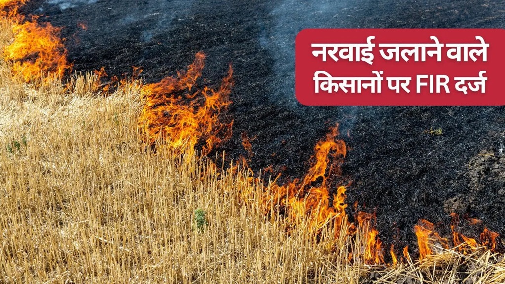 Fir Against 86 Farmers And Fines Of Rs 2 20 Lakhs For Wheat Stubble Burning In Madhya Pradesh Parali Cases