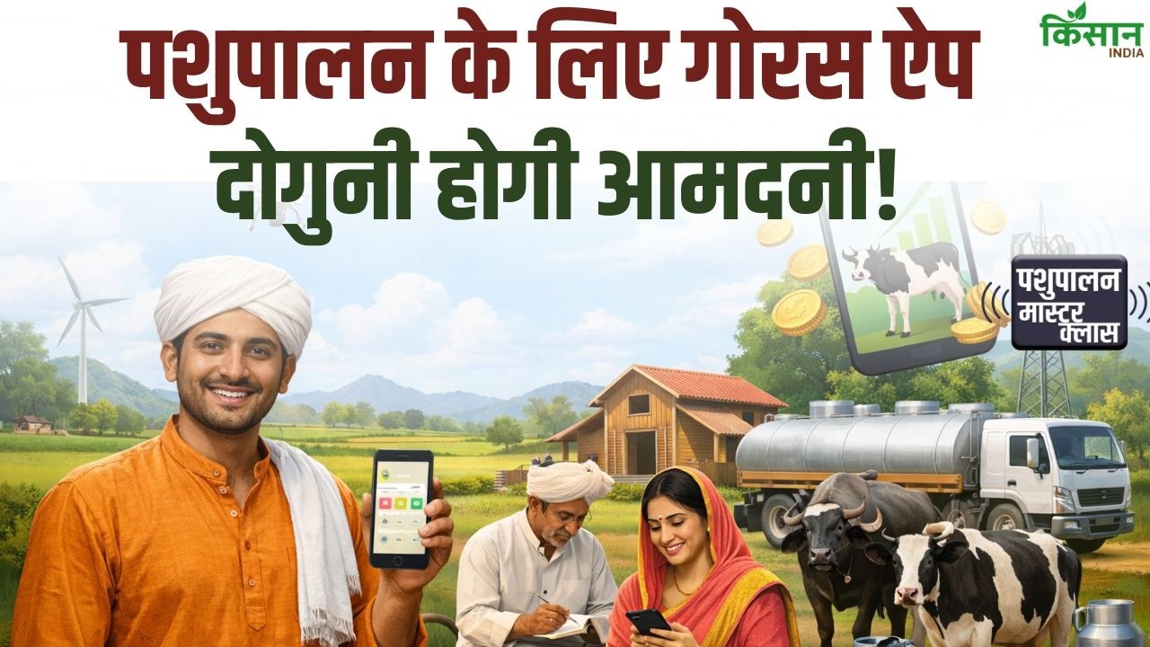 Goras Mobile App Provides Great Convenience Cattle Farmers Increasing Milk Production And Income With Scientific Advice From Home