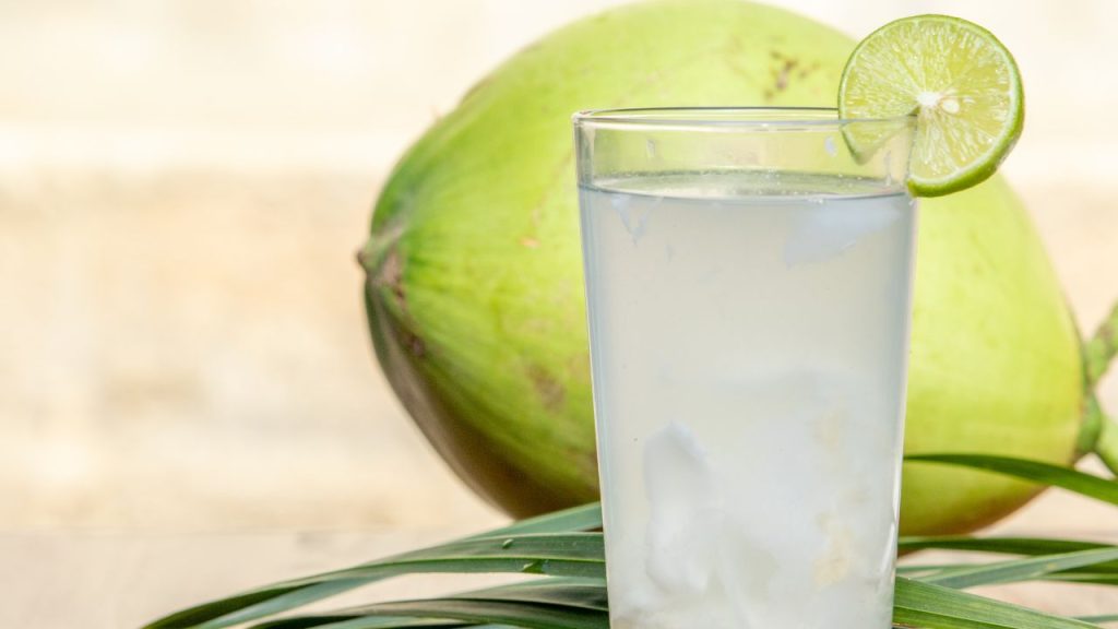 बड़े नारियल में पानी कम और मलाई की मात्रा ज्यादा होती है. मलाई खाने के शौकीन लोग बड़े नारियल को पसंद करते हैं. इससे साफ होता है कि ग्राहक को अपनी प्राथमिकता पानी या मलाई के अनुसार नारियल चुनना चाहिए. बड़े नारियल में पानी कम और मलाई की मात्रा ज्यादा होती है. मलाई खाने के शौकीन लोग बड़े नारियल को पसंद करते हैं. इससे साफ होता है कि ग्राहक को अपनी प्राथमिकता पानी या मलाई के अनुसार नारियल चुनना चाहिए.