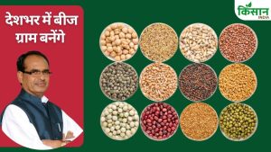 शिवराज सिंह ने किसान इंडिया को बताया- पारंपरिक बीजों का संरक्षण करेगी सरकार, बीज ग्राम बनाने का ऐलान
