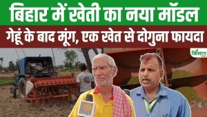 बिहार के नवादा में सीधी बुआई से मूंग की बंपर पैदावार, कम लागत में किसान कर रहे दोगुनी कमाई का कमाल