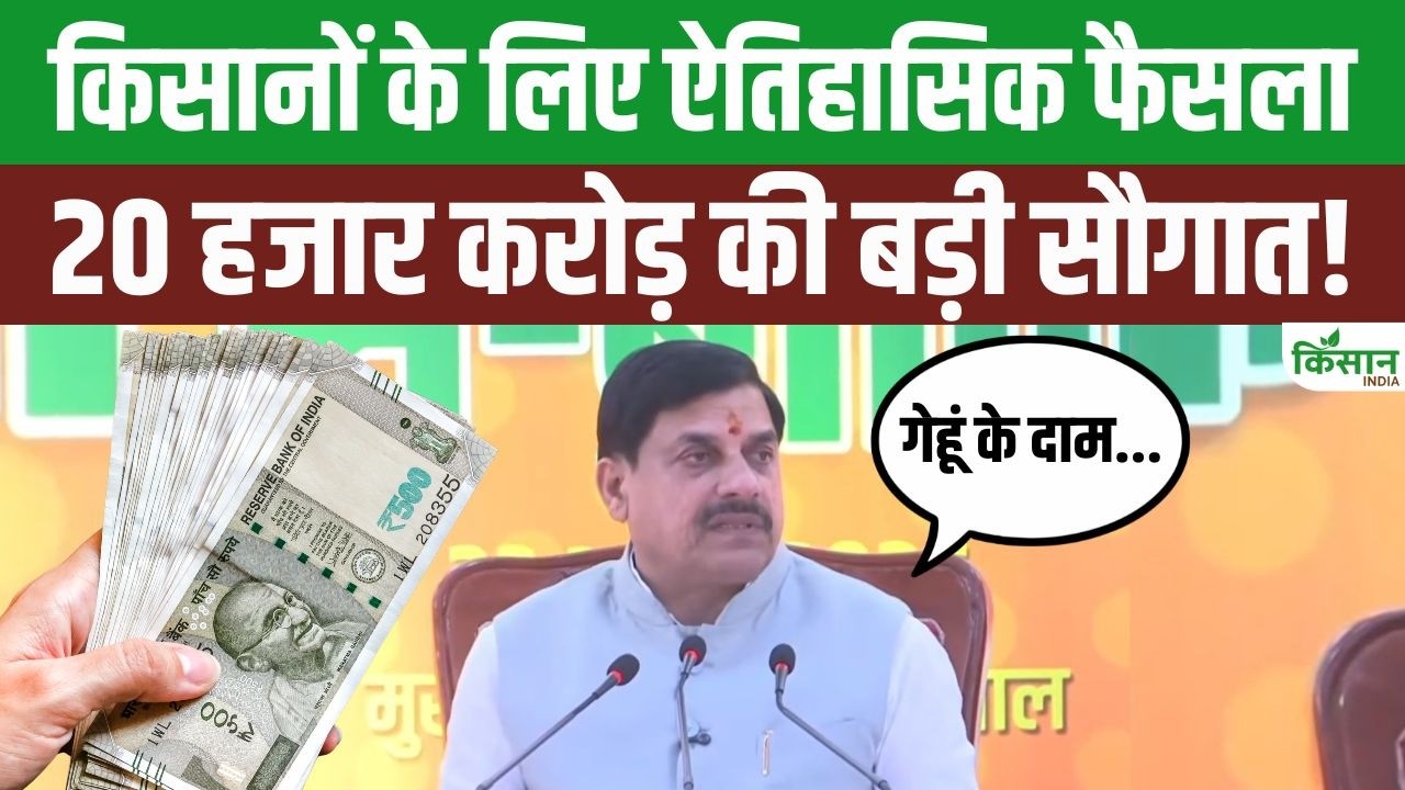 Mohan Yadav Makes Big Announcement Fixing Rate Wheat At Rs 2700 Per Quintal Direct Benefit Farmers