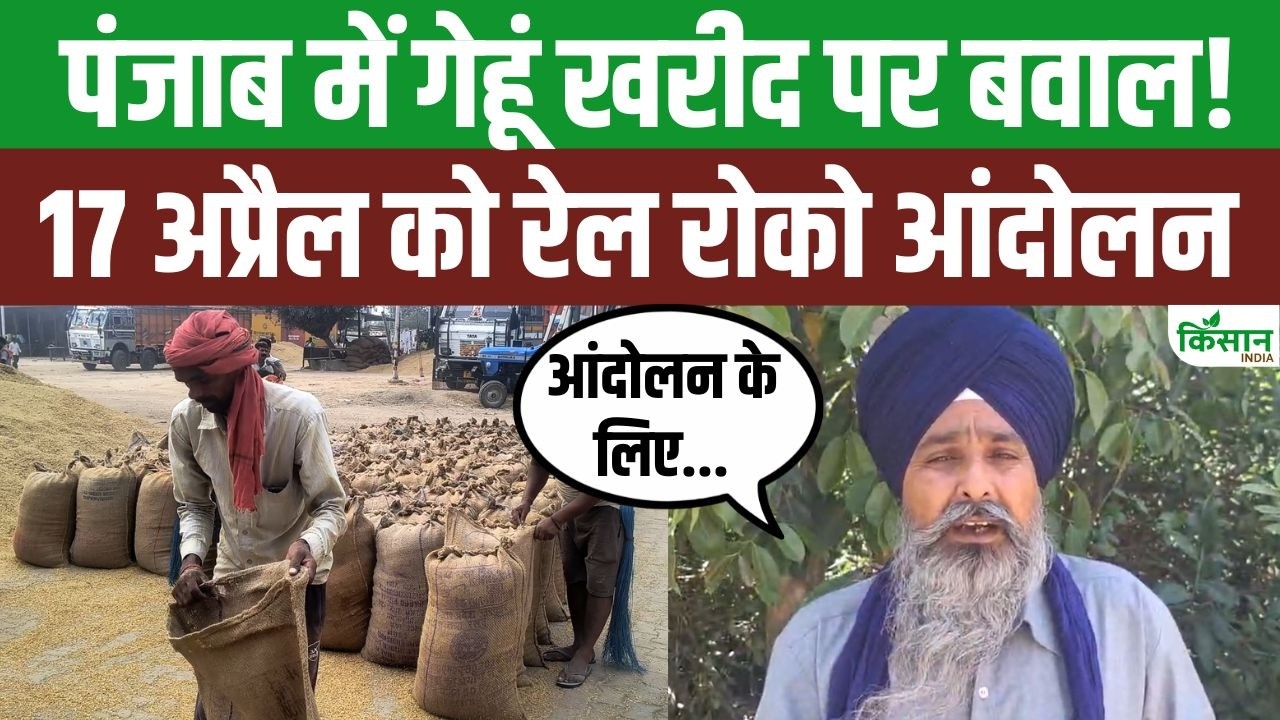Punjab Farmers Protest Wheat Procurement Markets Call Rail Blockade Trains May Halt On April 17