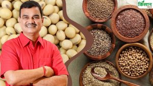 महाराष्ट्र सरकार ला रही नया बीज कानून, किसानों को अब मिलेगी कानूनी सुरक्षा और तुरंत मुआवजा