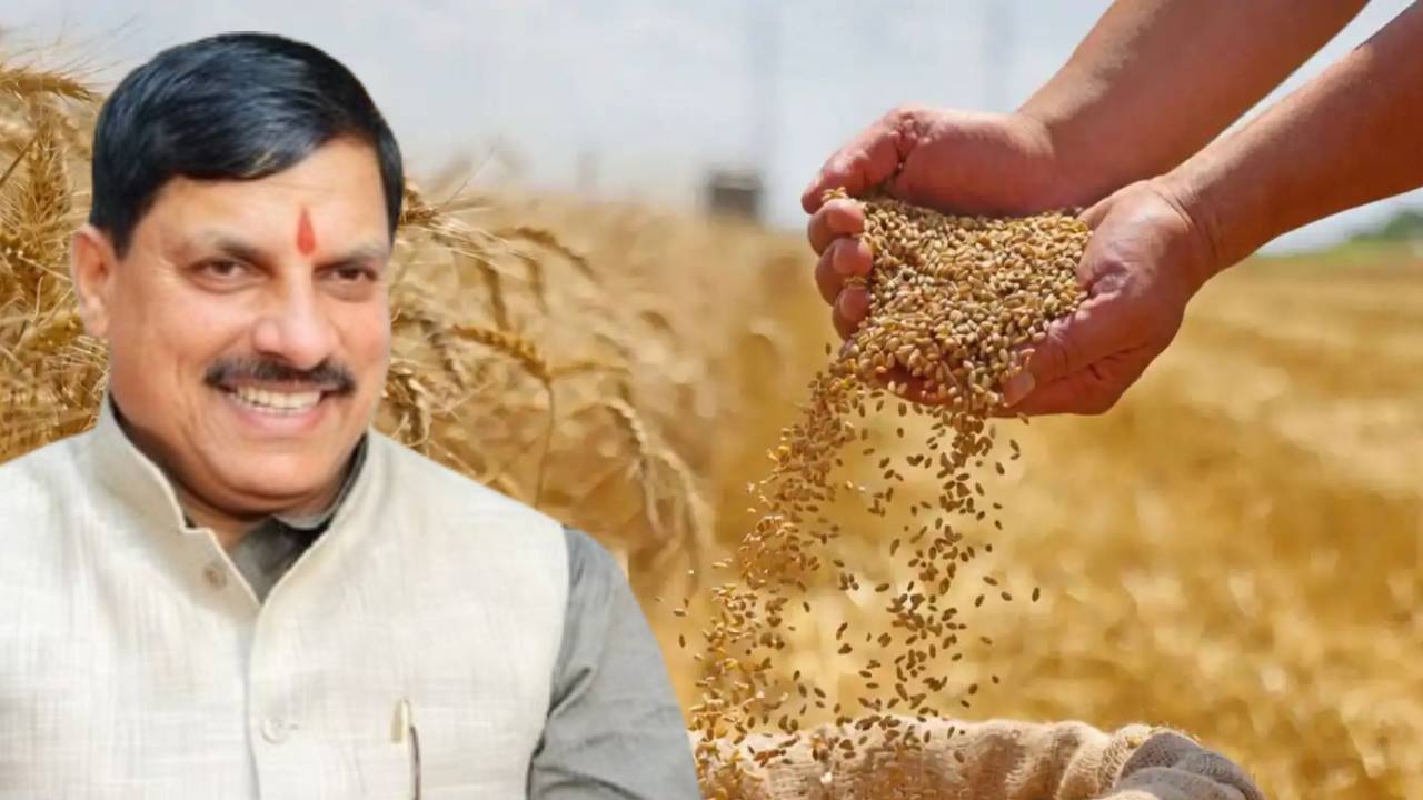 Madhya Pradesh Wheat Procurement Target 100 Lakh Mt Increase Msp Farmers Benefit 2026 India