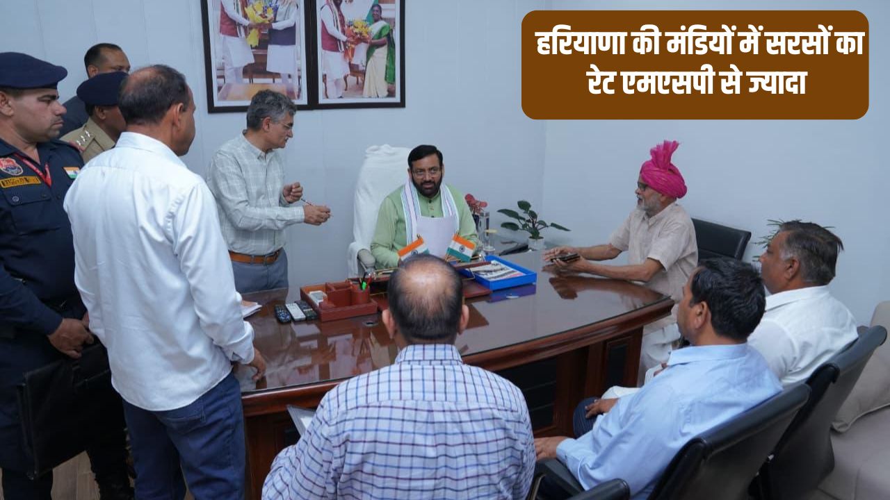 Mustard Market Rate Maize Millet Rate In Haryana Is Less Than Msp