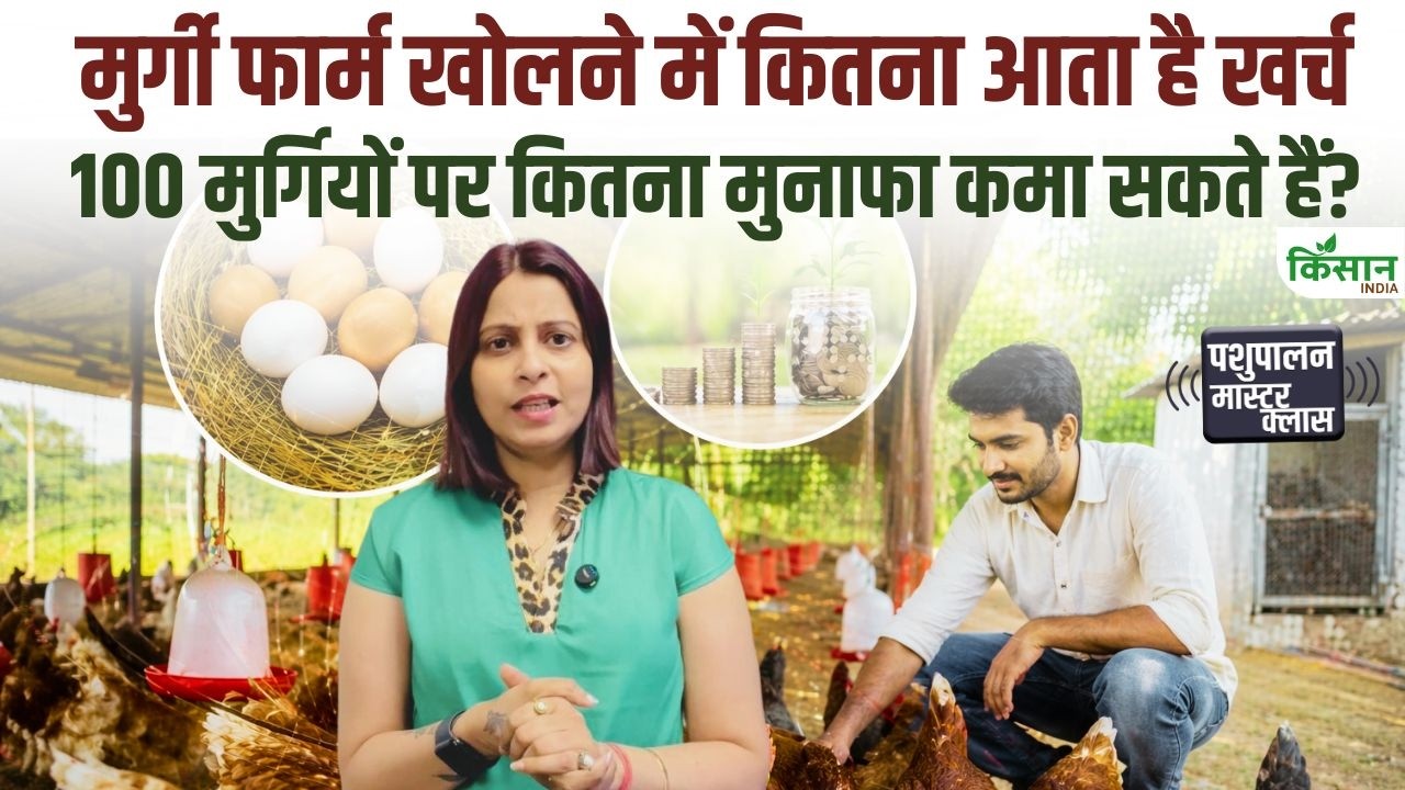 How Much Cost Start Poultry Farming Find Out How Much Profit You Earn Every Month From 100 Chickens