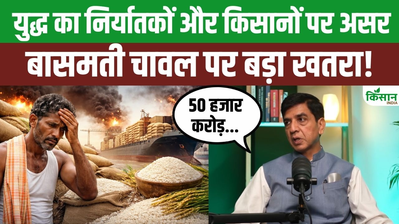 Iran America War Threatened 50000 Crore Worth Basmati Trade With Prices Falling Farmers And Exporters Payments Stalled