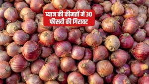 एशिया की सबसे बड़ी मंडी में प्याज हुआ धड़ाम, क्या किसानों को 1500 रुपये क्विंटल मिलेगा अनुदान ?