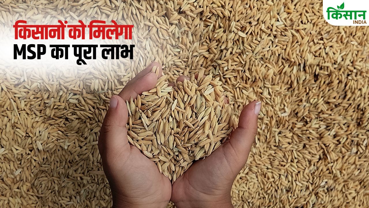 Paddy Purchased At Msp In Telangana Telangana Paddy Farmers Agriculture News