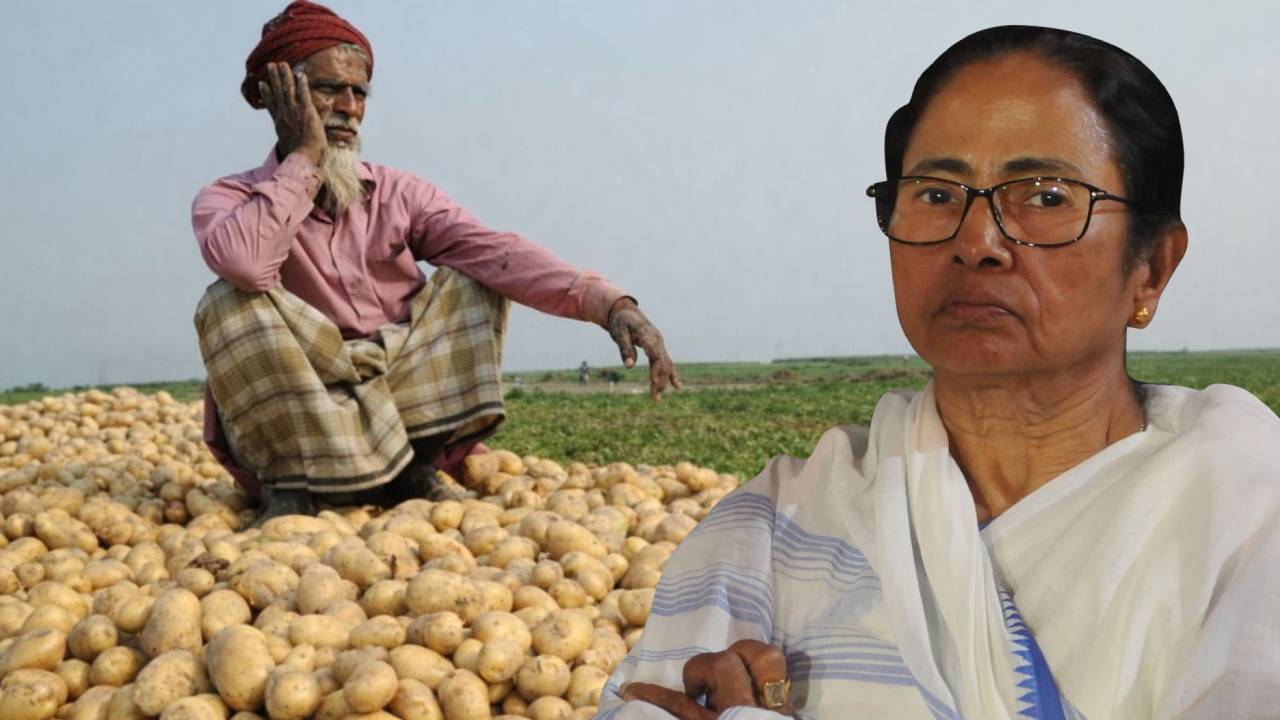 West Bengal Potato Crisis 2026 Bumper Harvest Price Crash Farmers Loss Export Policy Impact Mamata Banerjee