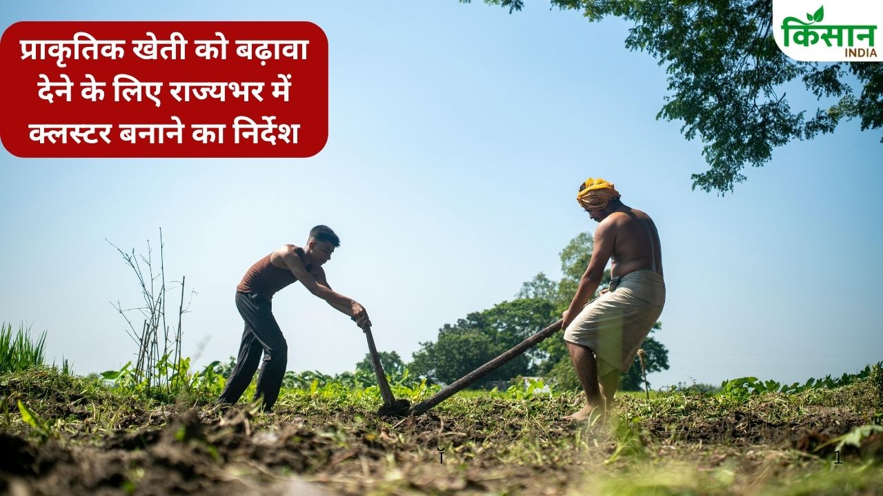 Cm Nayab Singh Saini Will Promote Horticultural Crops In Haryana Clusters Will Be Developed 2