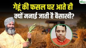 गेहूं फसल घर आते ही क्यों मनाई जाती है बैसाखी, जानिए किसानों के लिए यह दिन खुशी और उम्मीद क्यों लाता है