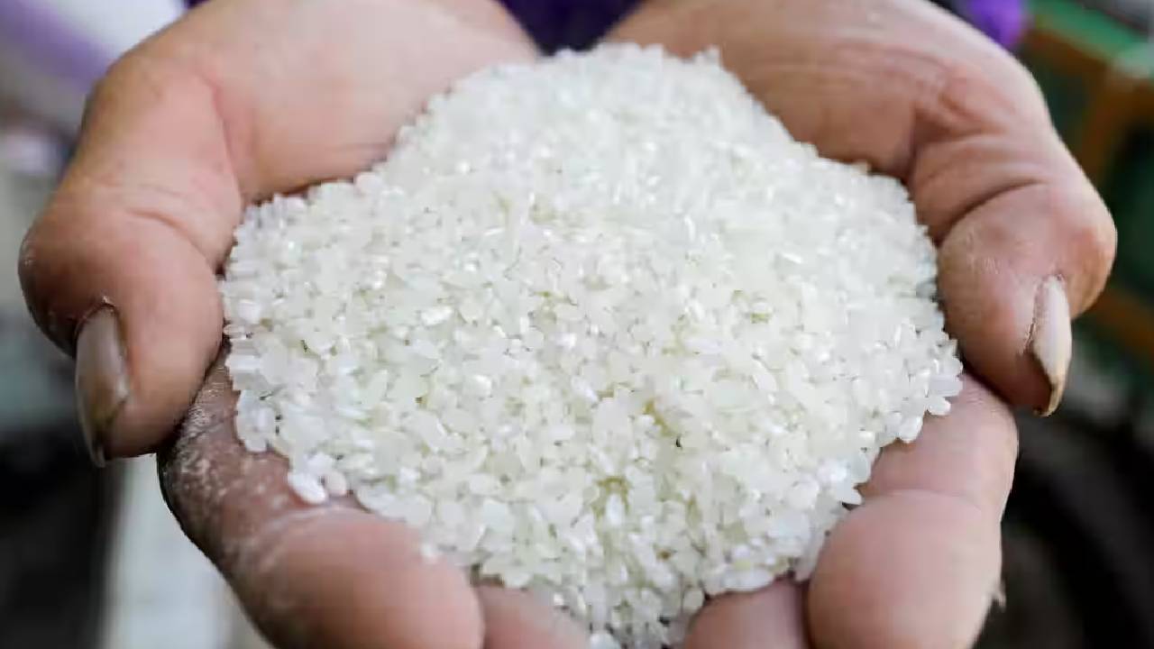 China Resumes Buying Broken Rice From India Despite Gmo Concerns Competitive Prices Global Demand