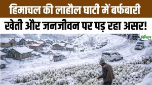 लाहौल घाटी में बिछी बर्फ की सफेद चादर, जनजीवन ठप.. खेती पर मंडराया खतरा