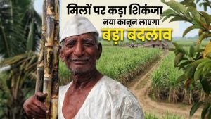 60 साल पुराने गन्ना कानून में सुधार की तैयारी, अब 14 दिन में भुगतान और किसानों को मिलेंगे बड़े फायदे
